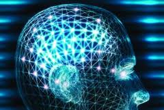 Emotional brain