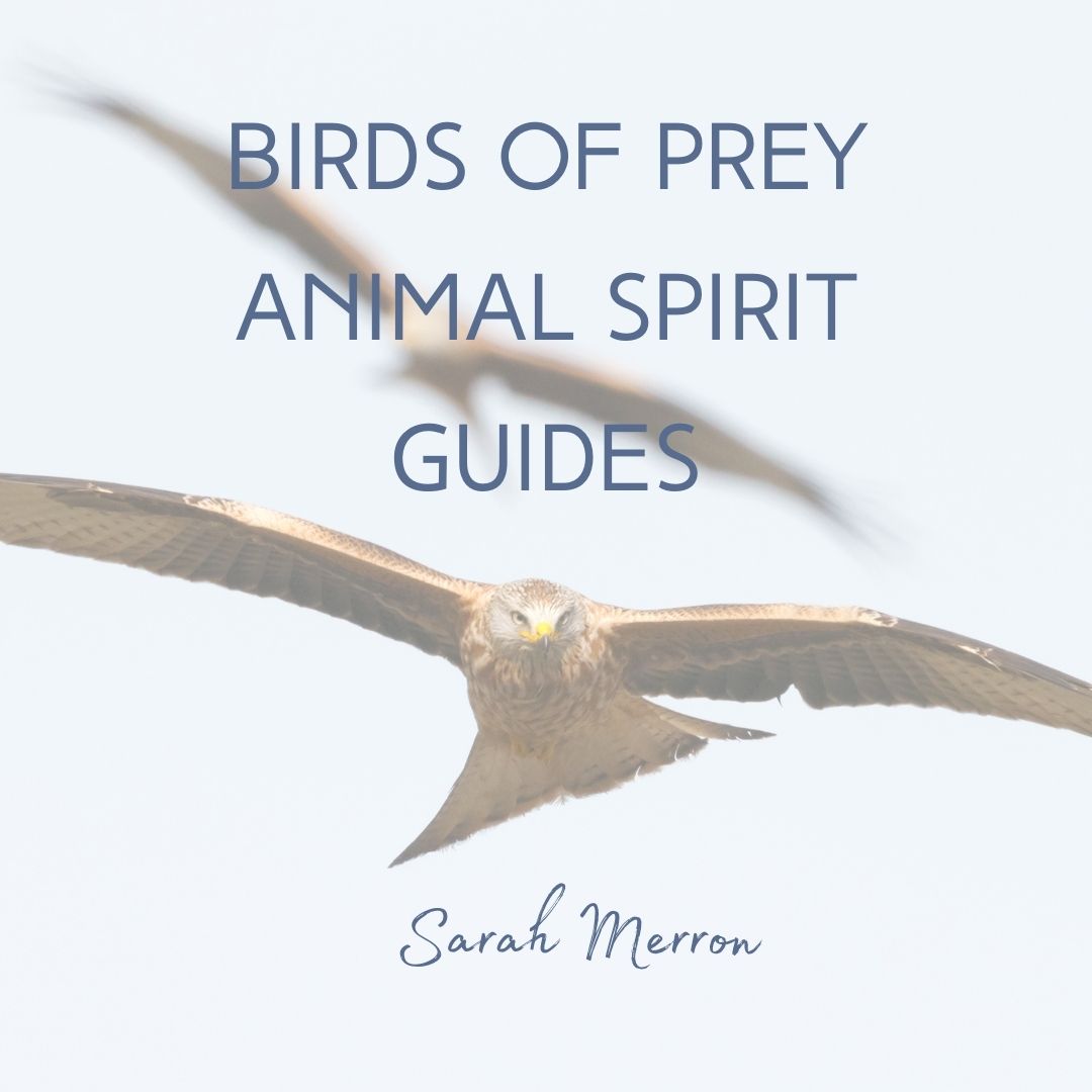Animal Spirit Guides Birds of Prey - Sarah Merron